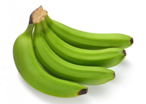 PL�TANO CHOCHECO Libra