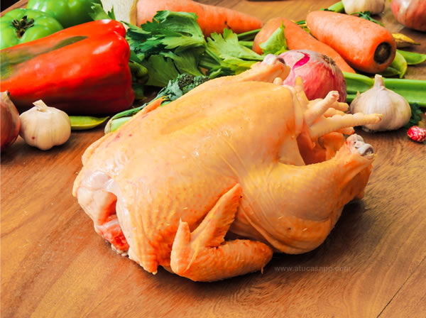 POLLO SEMICRIOLLO / precio por libra