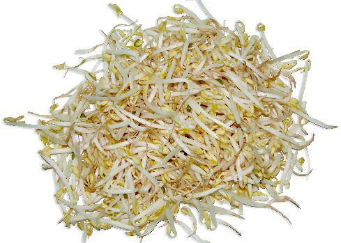 RAICES CHINAS Bandeja