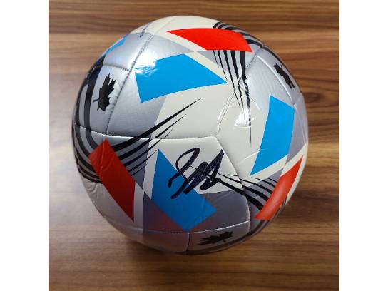 Image of the Item