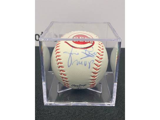 Image of the Item