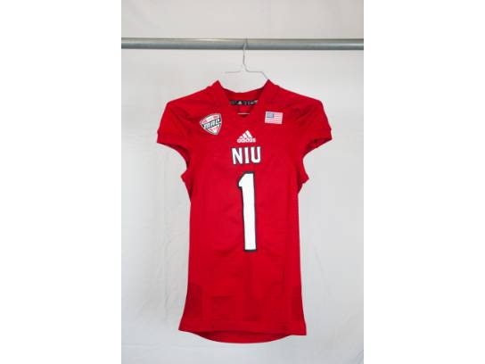Image of the Item