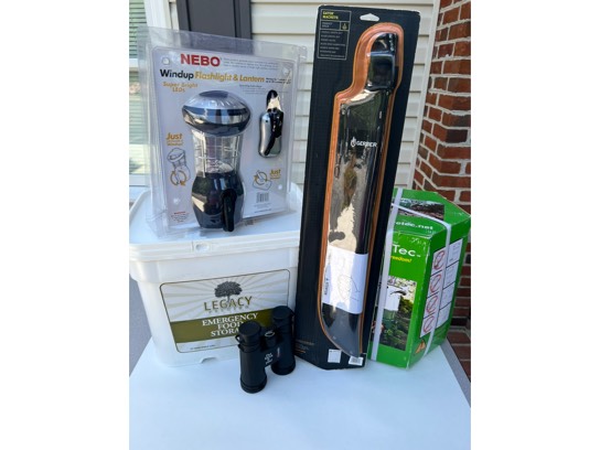 Image of the Item