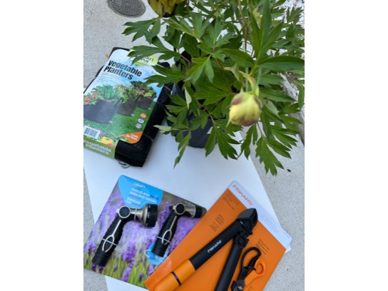 Image of the Item