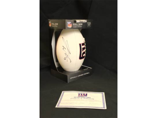 Image of the Item