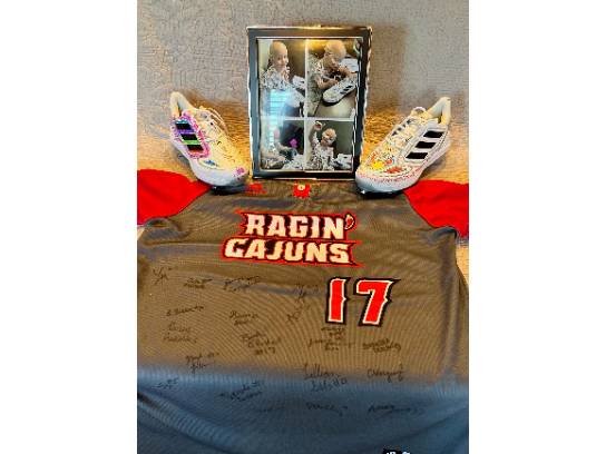 Image of the Item