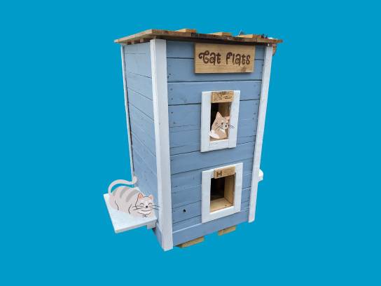Image of the Item
