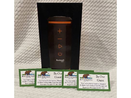 Image of the Item