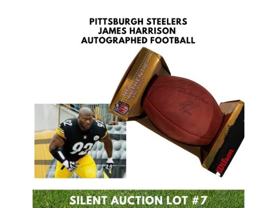 Image of the Item