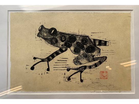Image of the Item