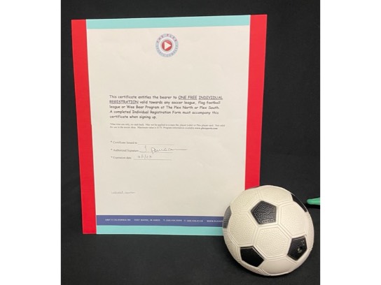 Image of the Item
