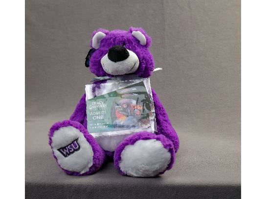 Image of the Item