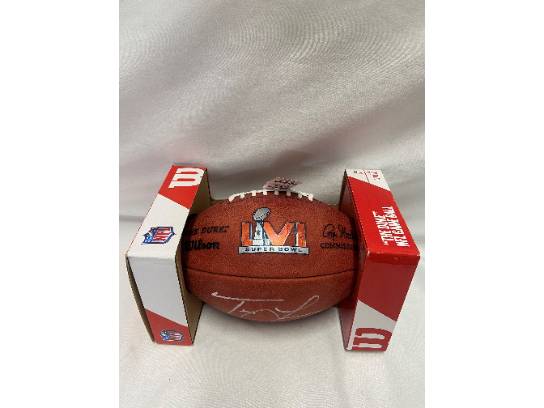Image of the Item