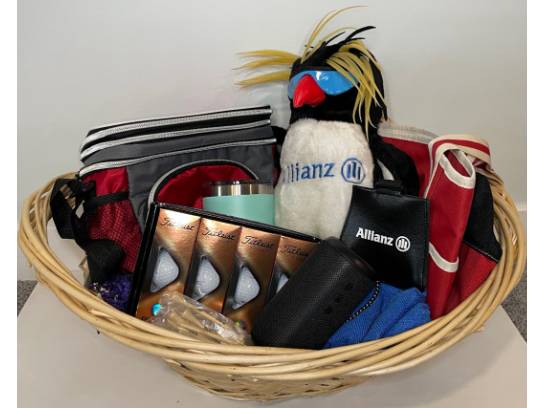 Image of the Item