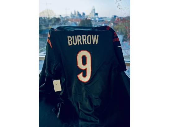 Image of the Item