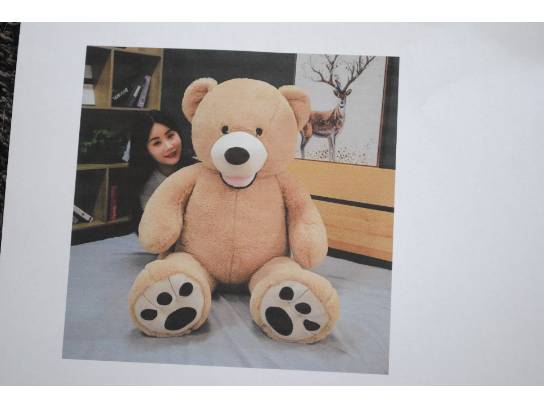 Image of the Item