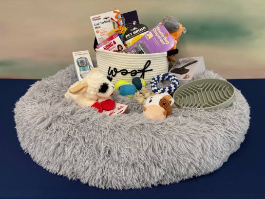 Image of the Item