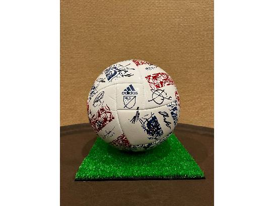 Image of the Item