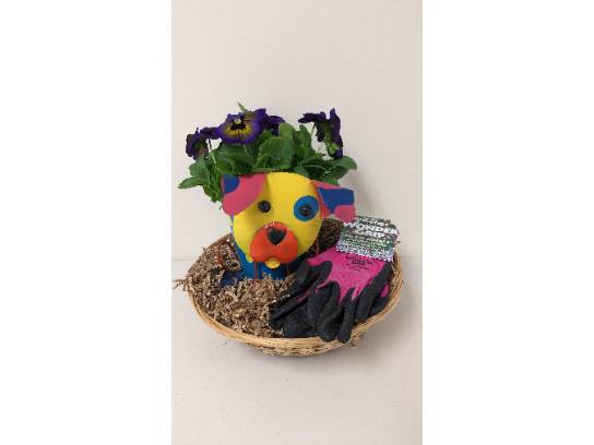 Image of the Item