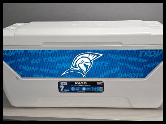 Image of the Item