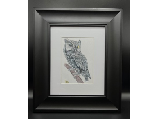 Image of the Item