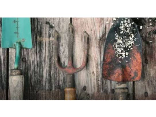 Image of the Item