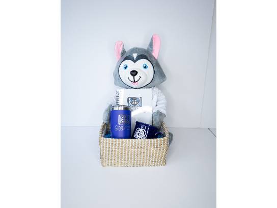 Image of the Item