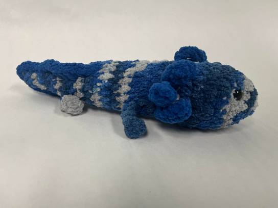 Image of the Item