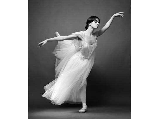 Image of the Item