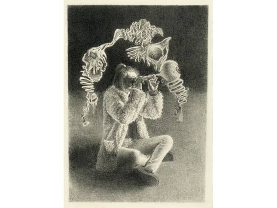 Image of the Item