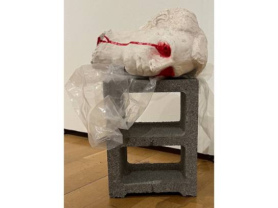 Image of the Item