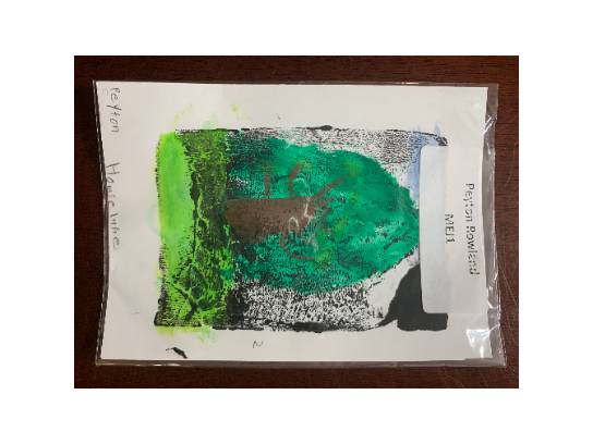 Image of the Item