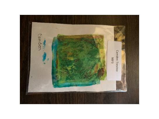 Image of the Item
