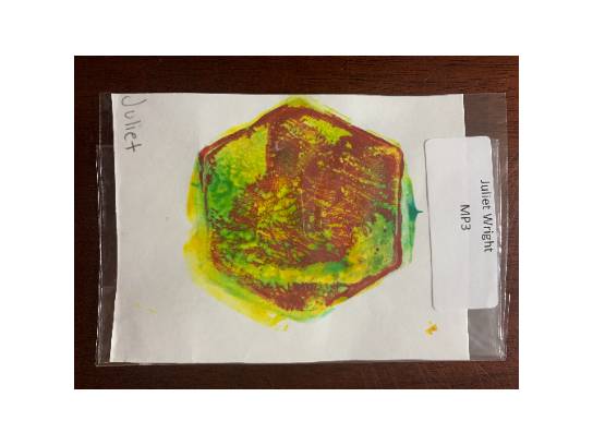 Image of the Item
