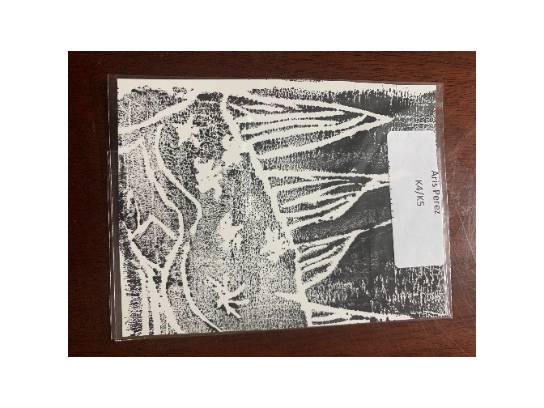Image of the Item