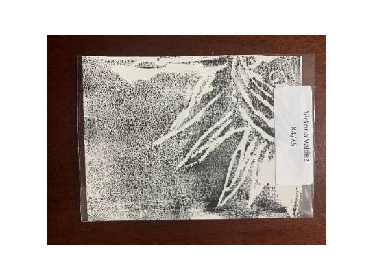 Image of the Item