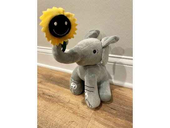 Image of the Item
