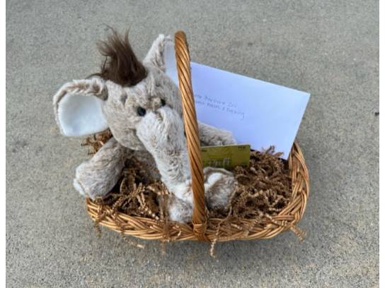 Image of the Item