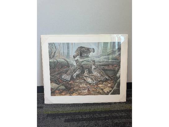 Image of the Item