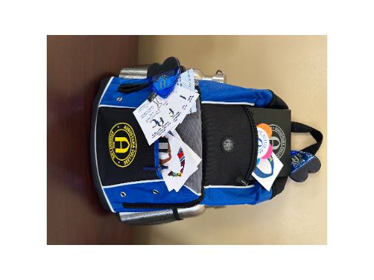 Image of the Item
