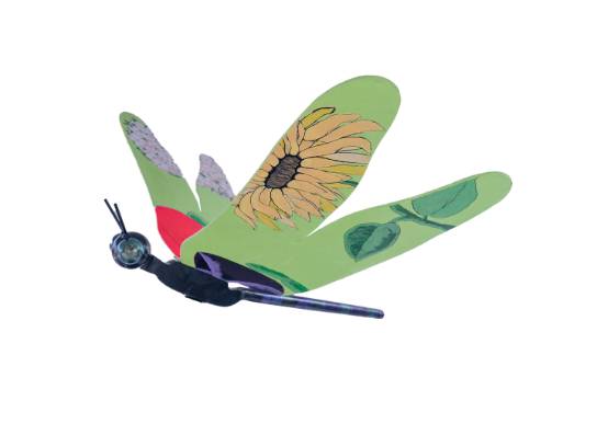 Image of the Item