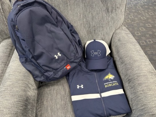 Image of the Item