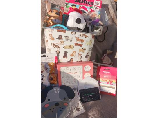 Image of the Item
