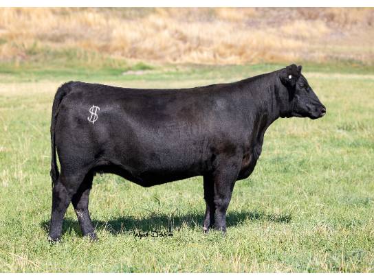 Christensen Genetics | Powered By GiveSmart