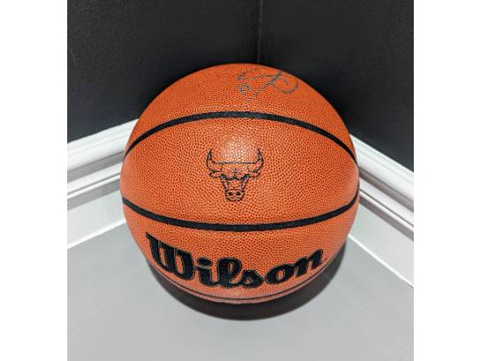 Image of the Item
