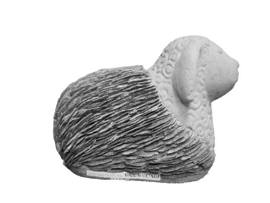 Image of the Item