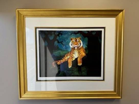 Image of the Item