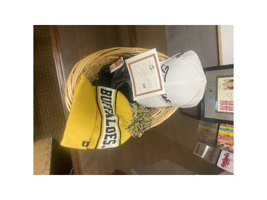 Image of the Item