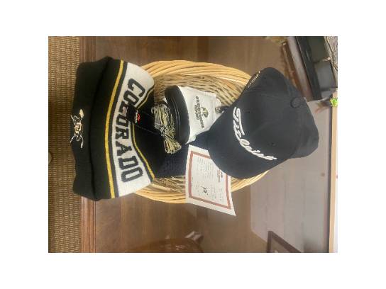 Image of the Item