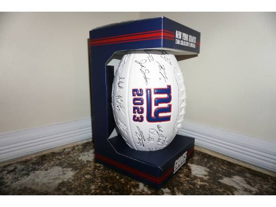 Image of the Item